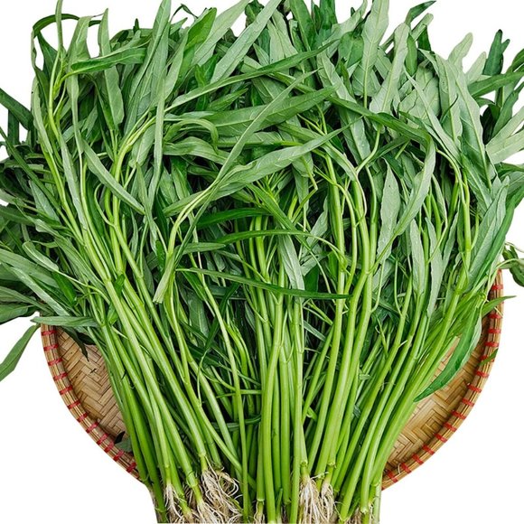 1000 Water Spinach seeds, Rau muống thân trắng, Kong Xin, Choy Ong - Picture 3 of 3